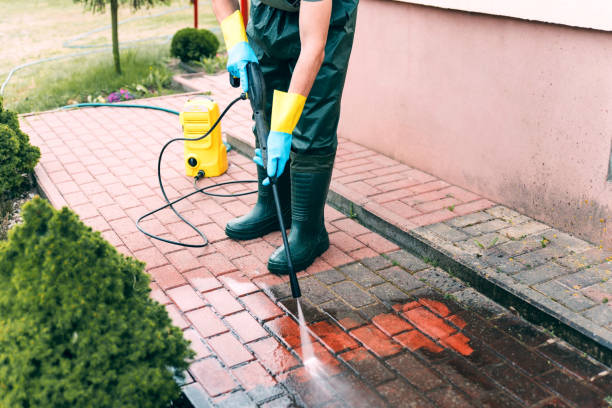 Best Exterior Home Cleaning  in Edgemont Park, MI