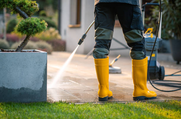 Best Pressure Washing Siding  in Edgemont Park, MI